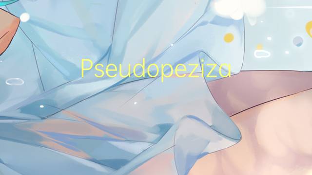 Pseudopeziza是什么意思 Pseudopeziza的读音、翻译、用法