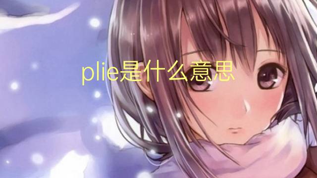 plie是什么意思 plie的读音、翻译、用法