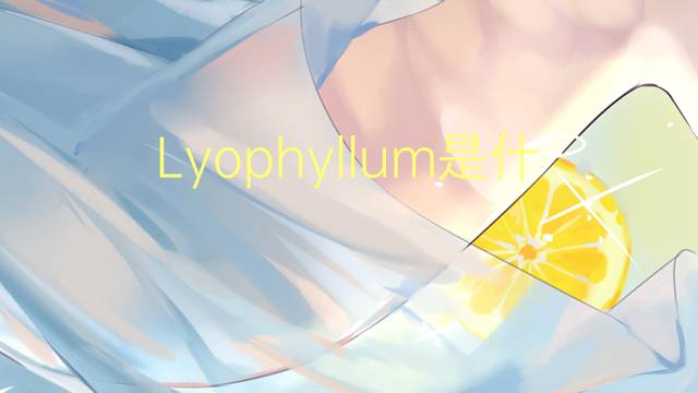 Lyophyllum是什么意思 Lyophyllum的读音、翻译、用法