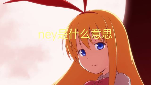 ney是什么意思 ney的读音、翻译、用法