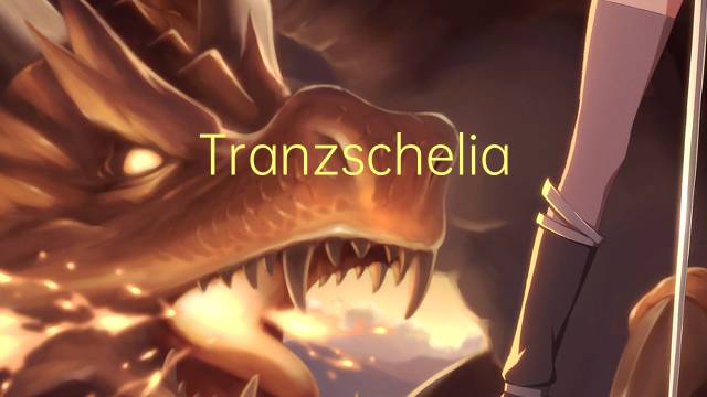 Tranzschelia是什么意思 Tranzschelia的读音、翻译、用法