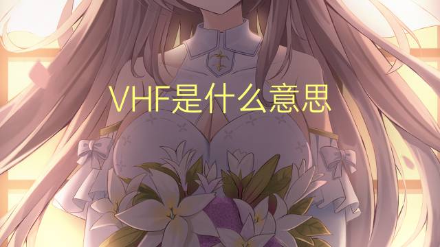 VHF是什么意思 VHF的读音、翻译、用法