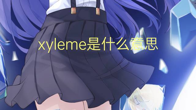 xyleme是什么意思 xyleme的读音、翻译、用法