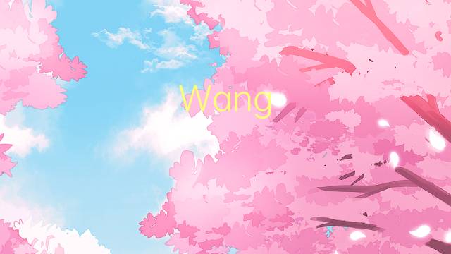 Wang Chong是什么意思 Wang Chong的读音、翻译、用法