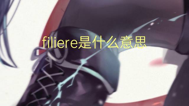 filiere是什么意思 filiere的读音、翻译、用法