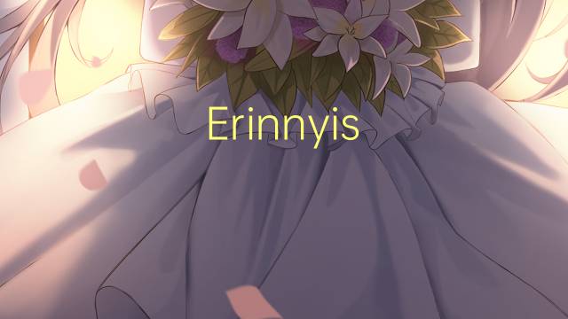 Erinnyis ello是什么意思 Erinnyis ello的读音、翻译、用法