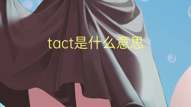 tact是什么意思 tact的读音、翻译、用法