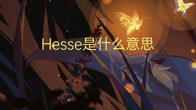 Hesse是什么意思 Hesse的读音、翻译、用法