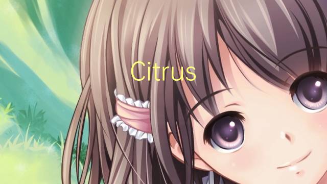 Citrus junos是什么意思 Citrus junos的读音、翻译、用法