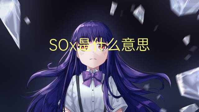 SOx是什么意思 SOx的读音、翻译、用法