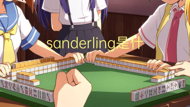 sanderling是什么意思 sanderling的读音、翻译、用法