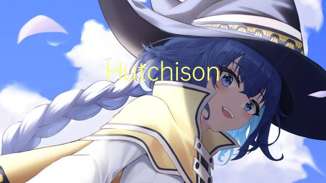 Hutchison Whampoa是什么意思 Hutchison Whampoa的读音、翻译、用法