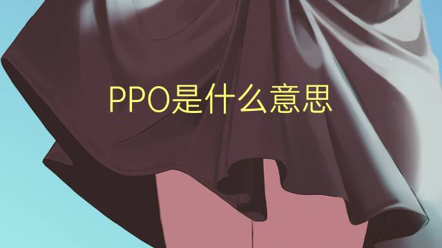 PPO是什么意思 PPO的读音、翻译、用法