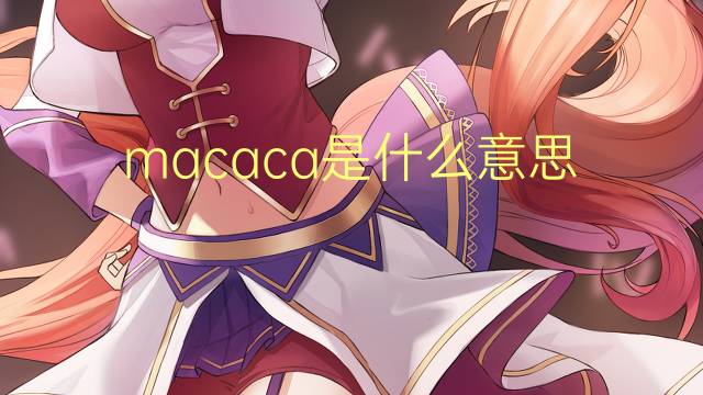 macaca是什么意思 macaca的读音、翻译、用法