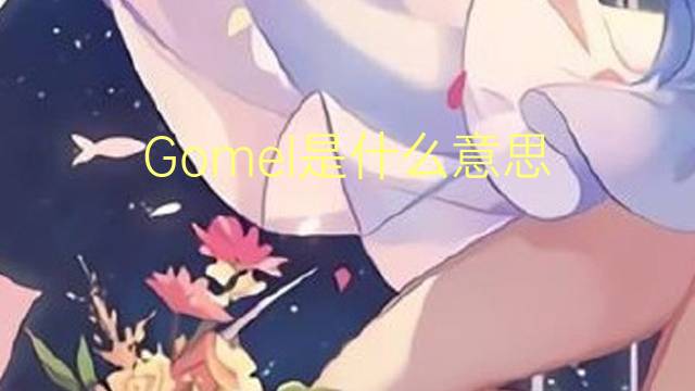 Gomel是什么意思 Gomel的读音、翻译、用法