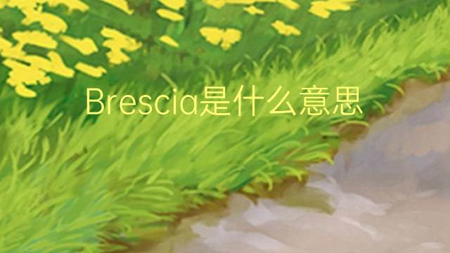 Brescia是什么意思 Brescia的读音、翻译、用法