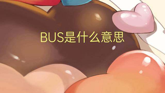 BUS是什么意思 BUS的读音、翻译、用法