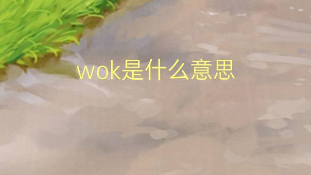 wok是什么意思 wok的读音、翻译、用法