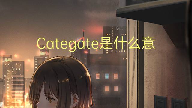 Categate是什么意思 Categate的读音、翻译、用法