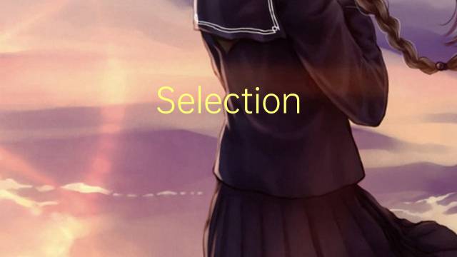 Selection sort是什么意思 Selection sort的读音、翻译、用法