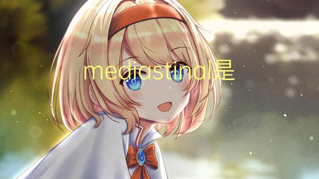 mediastinal是什么意思 mediastinal的读音、翻译、用法