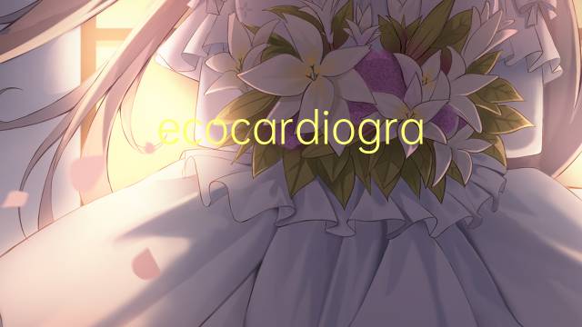 ecocardiograma是什么意思 ecocardiograma的读音、翻译、用法