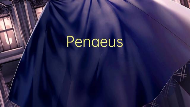 Penaeus indicus是什么意思 Penaeus indicus的读音、翻译、用法