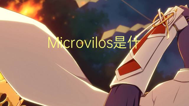 Microvilos是什么意思 Microvilos的读音、翻译、用法