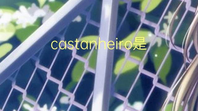 castanheiro是什么意思 castanheiro的读音、翻译、用法