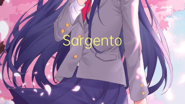 Sargento-mor是什么意思 Sargento-mor的读音、翻译、用法