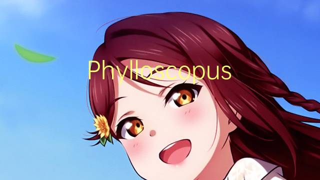 Phylloscopus是什么意思 Phylloscopus的读音、翻译、用法