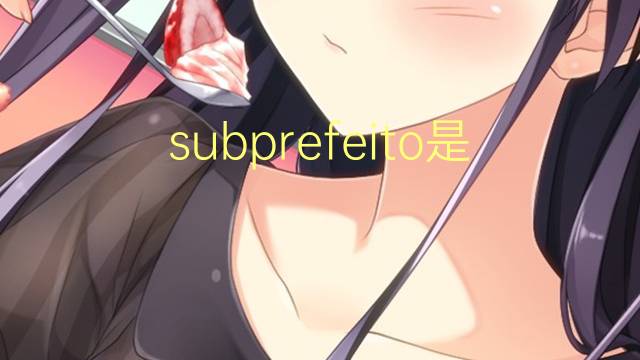 subprefeito是什么意思 subprefeito的读音、翻译、用法