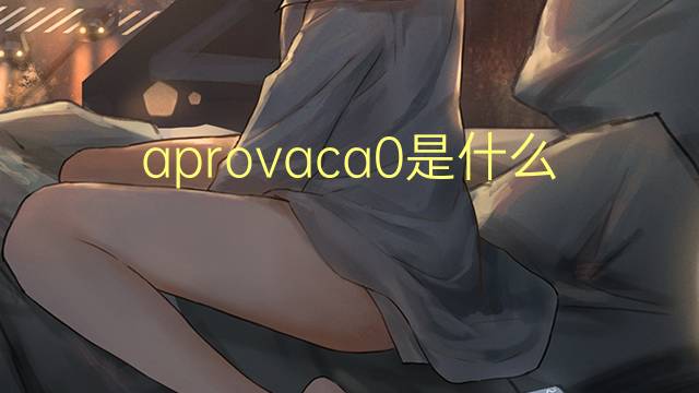 aprovaca0是什么意思 aprovaca0的读音、翻译、用法