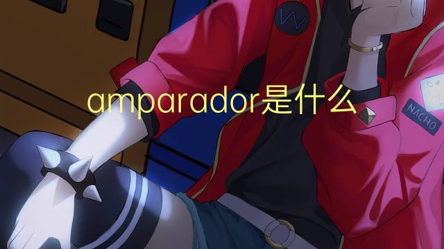 amparador是什么意思 amparador的读音、翻译、用法