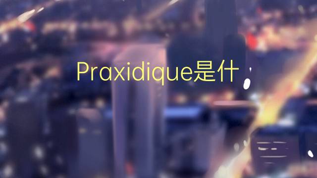 Praxidique是什么意思 Praxidique的读音、翻译、用法