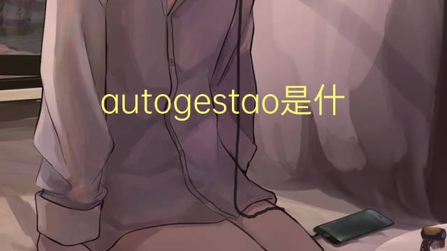 autogestao是什么意思 autogestao的读音、翻译、用法