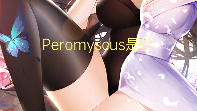 Peromyscus是什么意思 Peromyscus的读音、翻译、用法