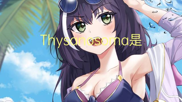 Thysanosoma是什么意思 Thysanosoma的读音、翻译、用法