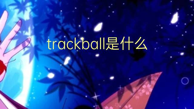 trackball是什么意思 trackball的读音、翻译、用法