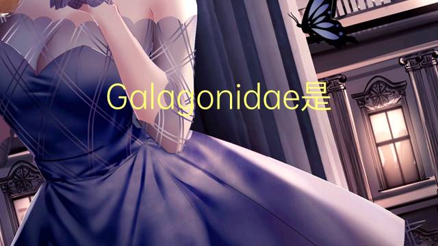 Galagonidae是什么意思 Galagonidae的读音、翻译、用法