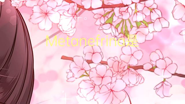 Metanefrina是什么意思 Metanefrina的读音、翻译、用法