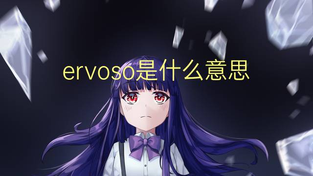 ervoso是什么意思 ervoso的读音、翻译、用法