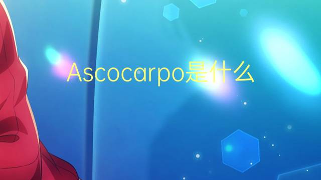 Ascocarpo是什么意思 Ascocarpo的读音、翻译、用法