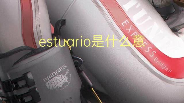 estuario是什么意思 estuario的读音、翻译、用法