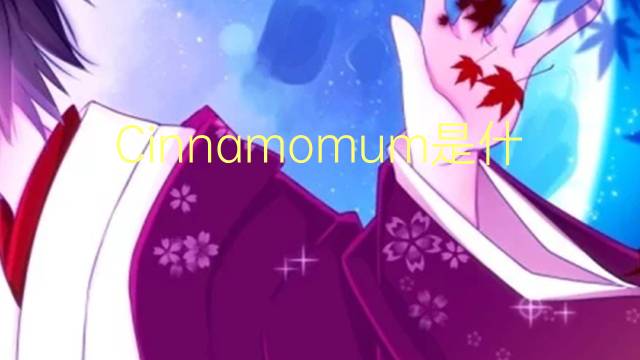 Cinnamomum是什么意思 Cinnamomum的读音、翻译、用法