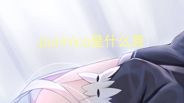 purinico是什么意思 purinico的读音、翻译、用法