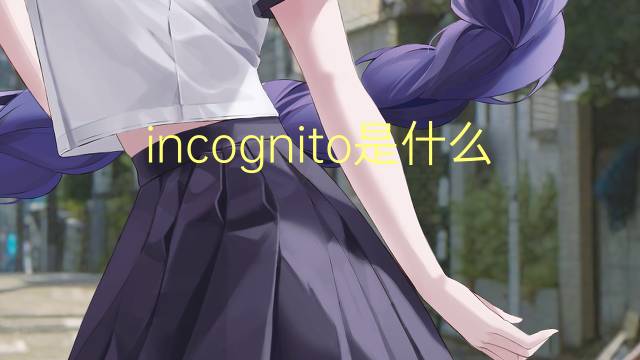 incognito是什么意思 incognito的读音、翻译、用法