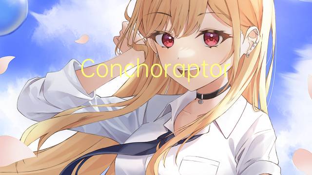 Conchoraptor是什么意思 Conchoraptor的读音、翻译、用法