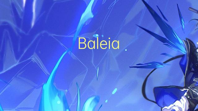 Baleia-franca-austral是什么意思 Baleia-franca-austral的读音、翻译、用法