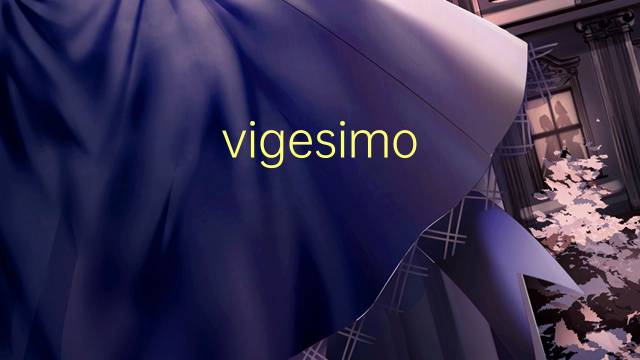 vigesimo primeiro是什么意思 vigesimo primeiro的读音、翻译、用法